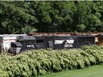 NS 6806